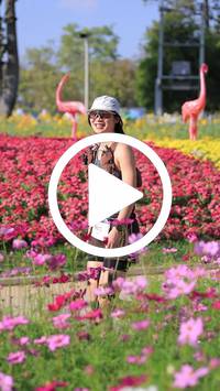 BIB:  <button type="button" onclick="openModal(27588375)" class="btn btn-primary btn-sm float-right" data-toggle="modal" data-target=".modal-high-quality">
                <i class="fa fa-download"></i> Download
                </button>